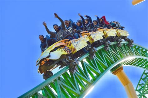 Best Roller Coasters In Florida Busch Gardens Tampa Lets Find Fun Best Roller Coasters