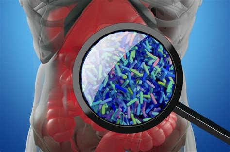 These Common Drugs Alter Gut Bacteria And Increase Health Risks