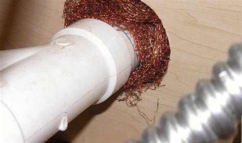 Green flash pest control is a locally owned, family based pest control in san diego, ca that has over 25 years of combined industry experience. Orkin Commercial Pest Exclusion Services for Business