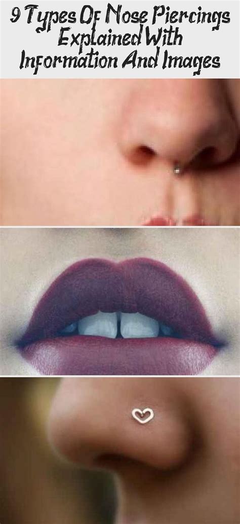 9 Types Of Nose Piercings Explained With Information And Images Piercing Explained Images