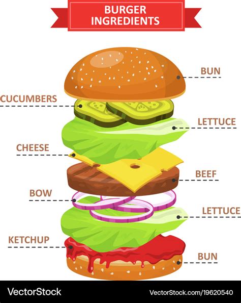 Burger Ingredients Set Royalty Free Vector Image