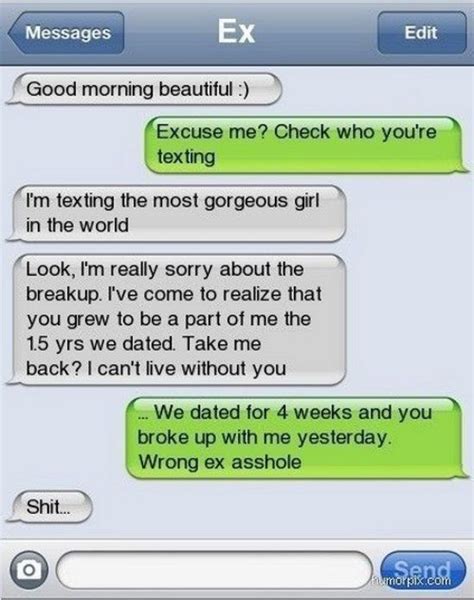 35 brilliant responses to a text from your ex funny breakup texts funny texts break up texts