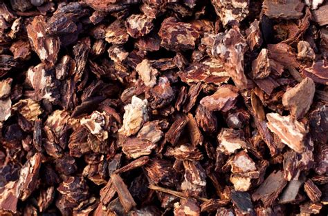 Maybe you would like to learn more about one of these? Bark Dust Blowing Oregon City OR | Wood Chips Lake Oswego ...