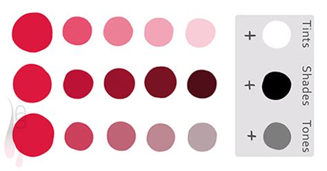 Check out results for tints and shades Tutorial | understanding colour • KiwiChameleon.com