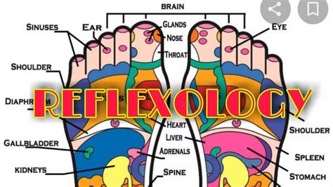 Reflexology Massage Reflexologymassage Footreflexology Handsreflexology Youtube