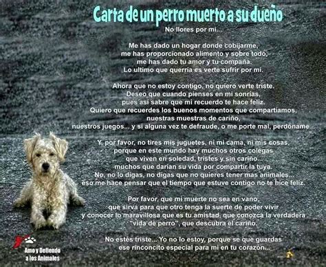Imagen Relacionada Cuando Muere Un Perro Poemas Para Perros Perros