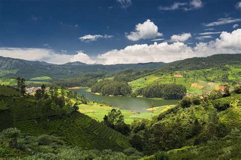 All About Avalanche Lake In Ooty A Natures Paradise Ooty Times Of