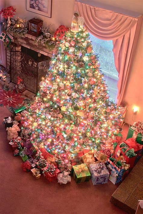 Check spelling or type a new query. christmas lights