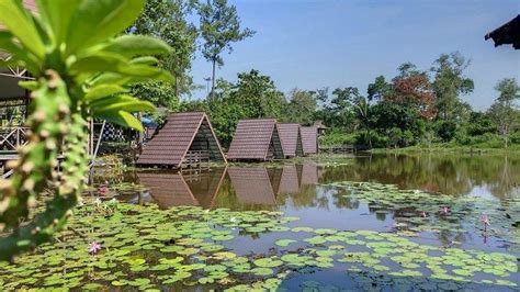 Wisata Kalsel Asrinya Danau Tanjung Puri Indah Tabalong Padukan