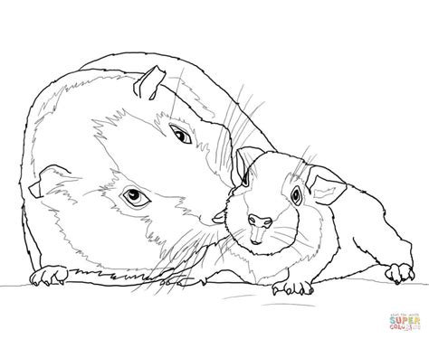 Top 10 guinea pig coloring pages for your toddlers piggies. Desenho de Mãe e bebê porquinho-da-Índia para colorir ...