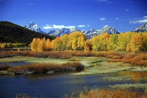 Here are some options that have lodges in or near everyone should visit yellowstone in their lifetime. Why Fall is a Great Time to Visit Yellowstone National Park