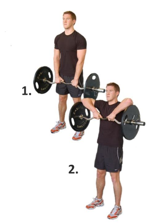 Upright Barbell Row Exercise Guide Bodybuilding Wizard