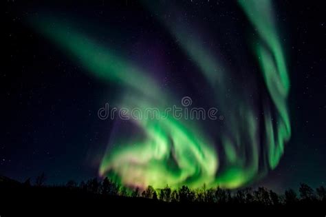 Northern Lights Aurora Borealis Over Trees Stock Image Image Of