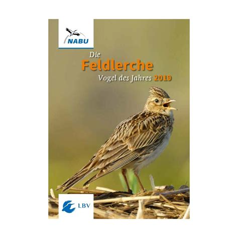Januar steht die top ten zur wahl für den begehrten titel. Feldlerche "Vogel des Jahres 2019" | Vogel des Jahres | Bücher & Medien | LBV NaturShop - Kaufen ...
