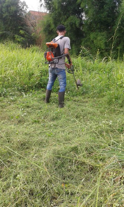 Mesin potong rumput sangat beragam, tetapi anda dapat mengelompokkan mesin potong rumput berdasarkan bahan bakar yang digunakan. jasa potong rumput | Tukang Taman - Jipara Alam