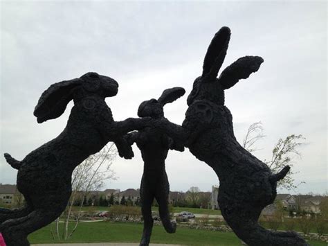 Dancing With The Bunnies Picture Of Giant Dancing Rabbits Of
