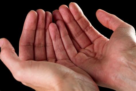 Understanding Palmistry The Art Of Palm Reading