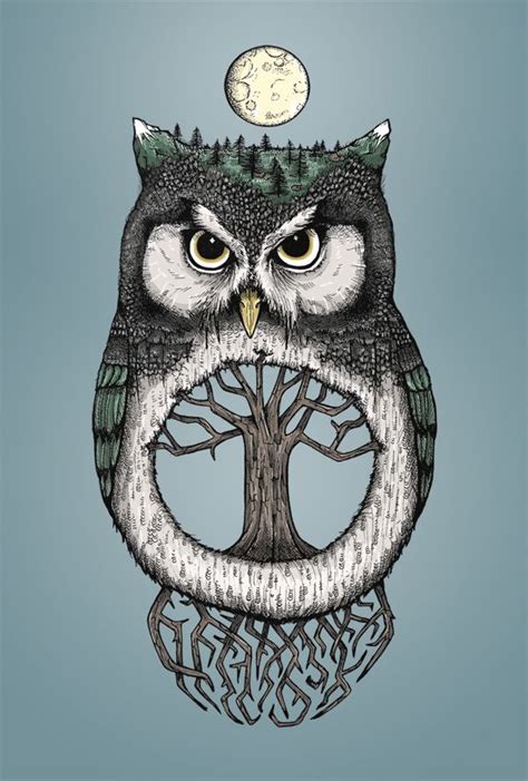 Owls Drawing Art Drawings Awesome Owls Owl Cartoon Owl Pictures