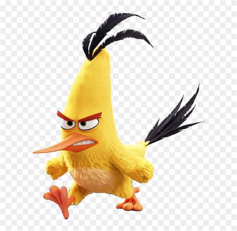 Yellow Angry Bird