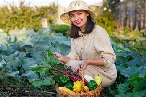 Woman Holding A Basket With A Harvest Of Vegetables Stock Image Image Of Nature Gathering