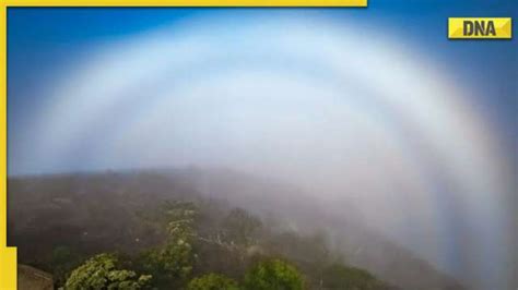 Photographer Captures Rare Ghost Rainbow In Us Viral Pic Leaves