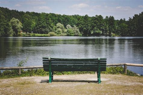 Bench Against Lake And Forest Stock Photo Image Of Vacation Outside