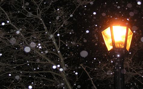 Lamp Post Light At Night Snow Winter Wallpapers Hd