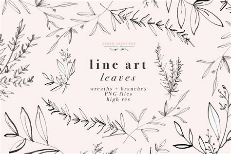Line Art Leaves Clipart Botanical Print Illustration Greenery