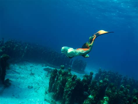 Mermaid Melissa Explores Sunken Statues Of The Deep Ocean