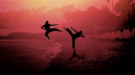 Take a look at your new sensei. Cobra Kai Streaming - Italia Serie TV - Tantifilm