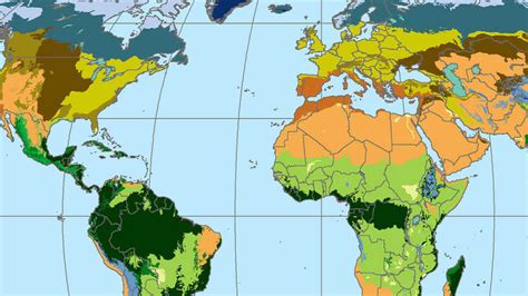 In fact all deserts and rainforests in 10 years it definitely will change if current trends in deforestation continue in tropical rainforests. Lesson Plan | Discovering Rainforest Locations