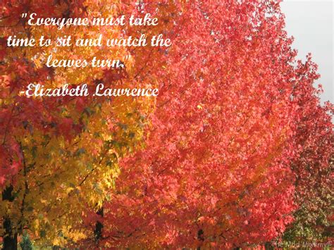 Autumn Foliage And Quotes Quotesgram