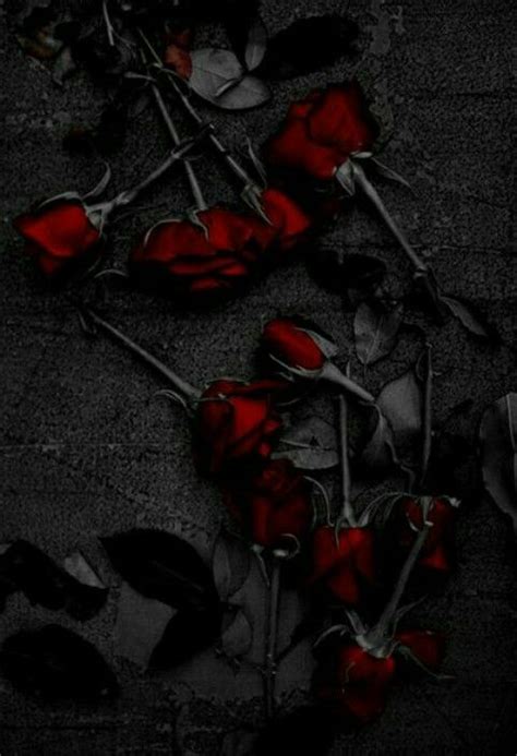 Pin By Ms Place On Pics Rose Wallpaper Gothic Rose Dark Fantasy