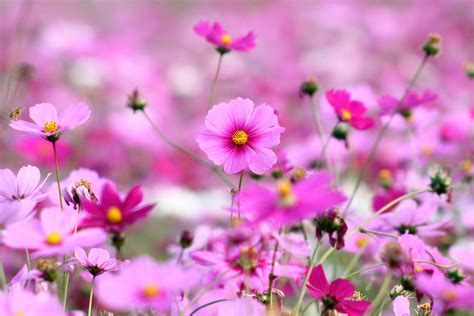 Beautiful wallpaper for desktop 3d. Beautiful Wallpapers for Desktop Full Screen (55+ images)