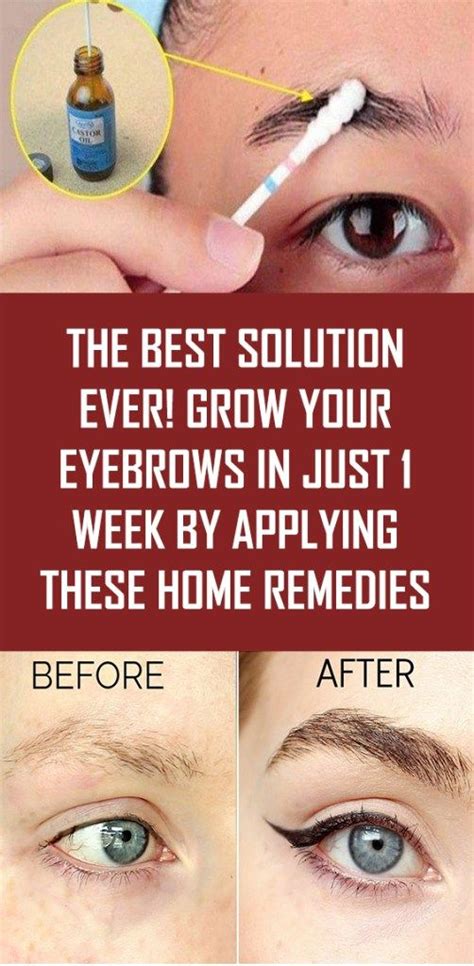 The Best Solution Ever Grow Your Eyebrows In Just 1 Week By Applying