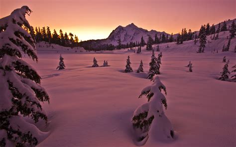 Wallpaper 2560x1600 Px Landscape Mountains Snow Sunset Trees