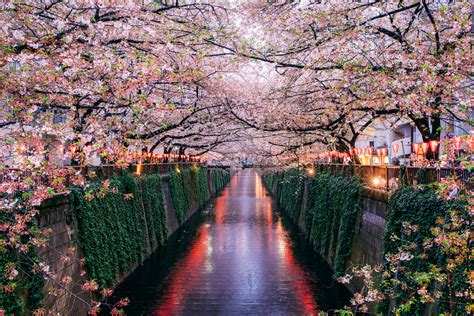 The Best Time To Visit Tokyo