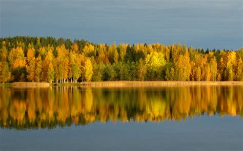 Wallpaper Autumn Lake Reflection Fall Nature Water Finland