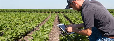 The normal financial transaction practices will incept to diminish. Blockchain and Food Safety: How Blockchain is Transforming ...