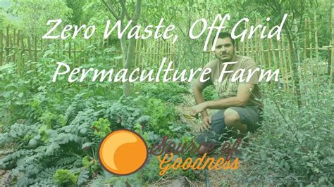 Zero Waste Off Grid Permaculture Farm YouTube