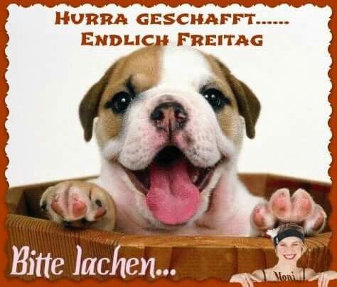 1.advent 1.mai 2.advent 3.advent 4.advent april april einladungen frauentag freitag der 13. Pin on Sonntag