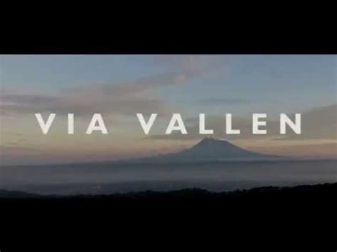 Yuk jual & beli dangdut koplo terbaru via vallen online dengan daftar harga terbaru february 2021 di tokopedia sekarang! Via vallen terbaru 2020 - YouTube