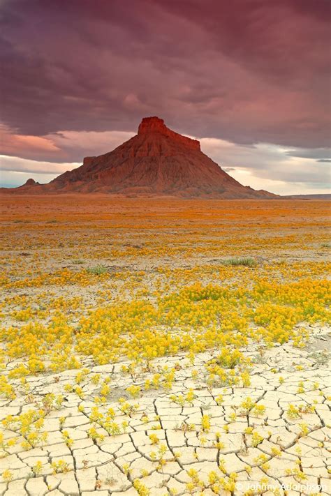 Badlands National Park Etats Unis Desert Landscaping Desert