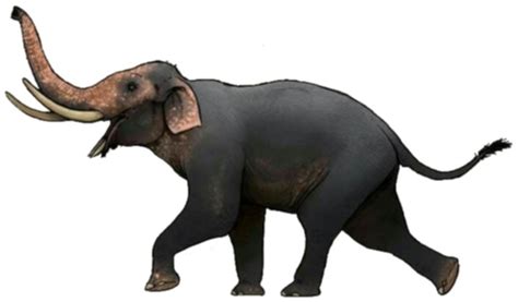 Four Tusked Elephant Liera Speculative Evolution Wiki Fandom
