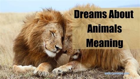 Dreams About Animals Meaning And Interpretation Cool Astro