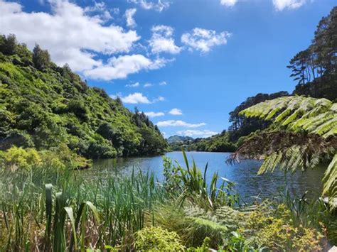 Best Hikes And Trails In Zealandia Wildlife Sanctuary Alltrails