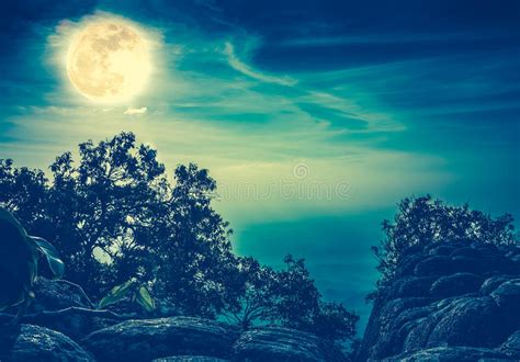 La Luna Piena Aumenta Sopra Una Foresta Su Una Notte Nebbiosa