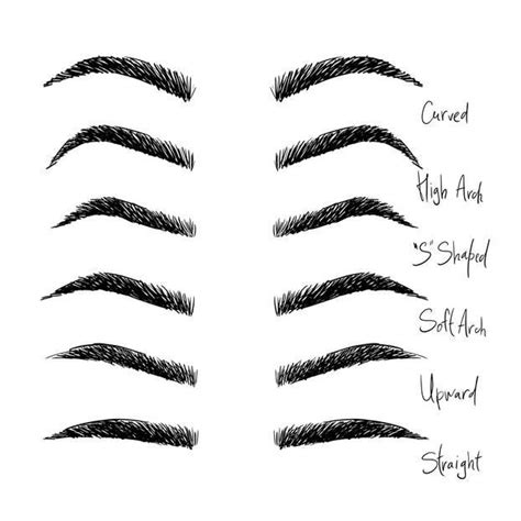 How To Groom And Shape Your Eyebrows Like A Pro · Steffanys Choice