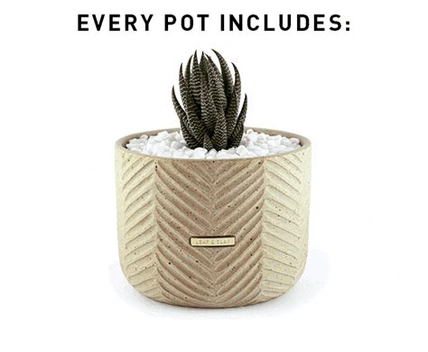 Leaf And Clay Pots Are Handmade By Talented And Passionate Artisans In