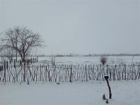 Jutros U Vojvodini I Do 8cm Snega Sneg I Dalje Pada A Novi Sneg